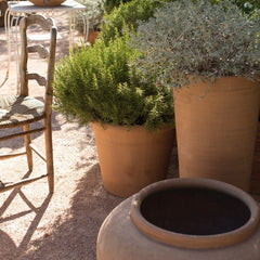 Pots & Contenant