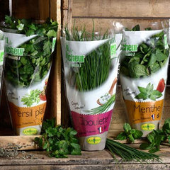 Herbes de provence