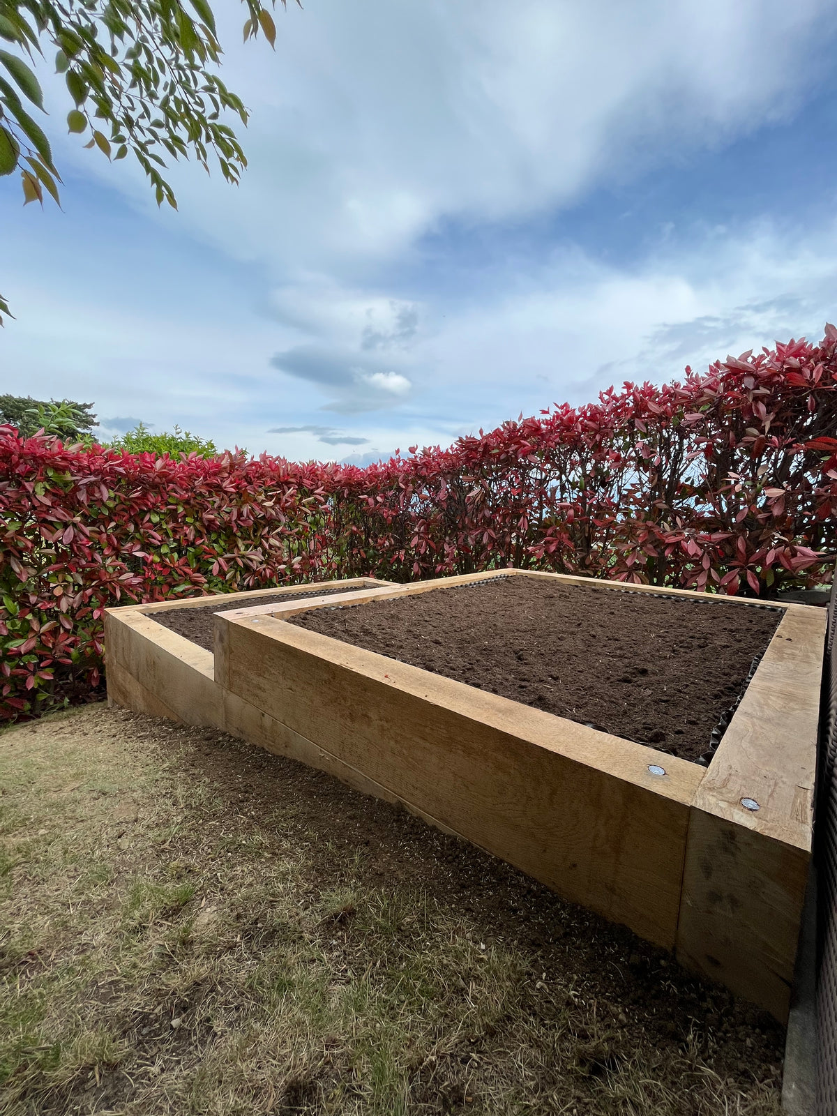 Sud Art Paysage garden project